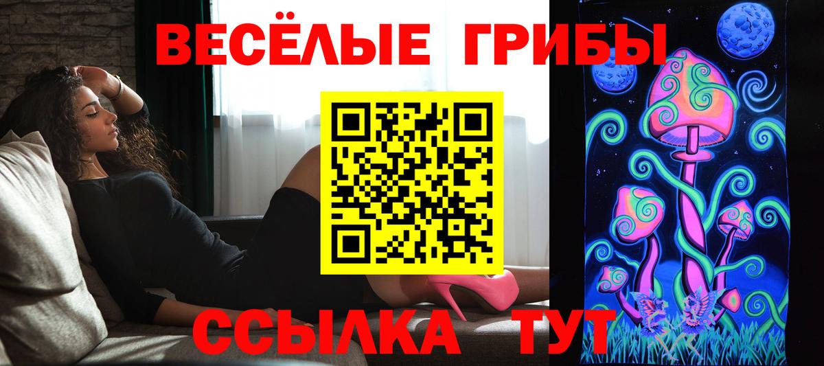 Псилоцибиновые грибы Psilocybine cubensis Белорецк